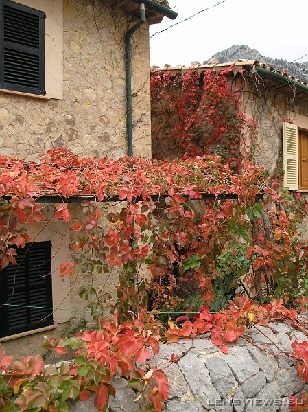 2006_11_22 11_54_32 OLYMPUS DIGITAL CAMERA         